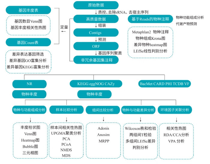 宏轉(zhuǎn)錄組測(cè)序分析流程 宏轉(zhuǎn)錄組測(cè)序分析流程