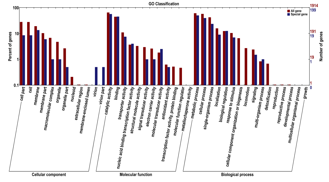 special_gene.go_ special_gene.go_