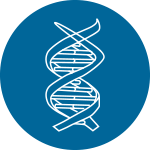 加權(quán)基因共表達網(wǎng)絡分析