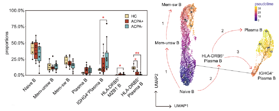 圖1?利用Monocle推斷類風濕性關節(jié)炎PBMCs B細胞的分化軌跡[3]