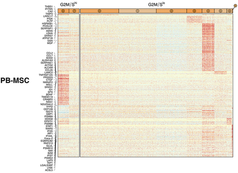 圖5從3個(gè)供體匹配組織來源分離的馬間充質(zhì)基質(zhì)細(xì)胞（MSCs）表現(xiàn)出源內(nèi)轉(zhuǎn)錄異質(zhì)性