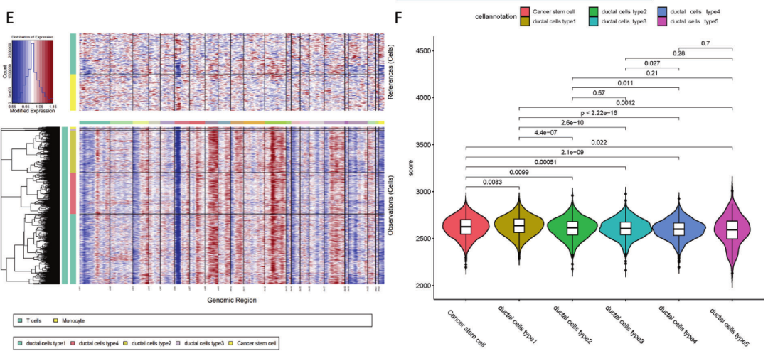 圖6?利用inferCNV揭示胰腺導管腺癌惡性細胞類型[11]