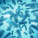 微生物多樣性APP主流程投遞操作指導