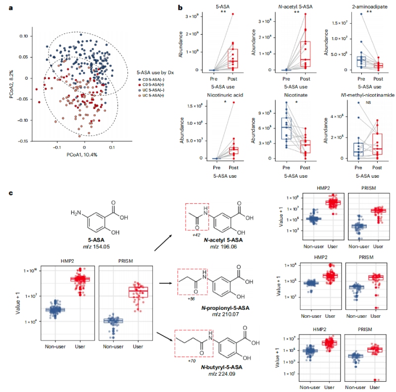 5-ASA可直接影響糞便代謝組，并通過微生物組進(jìn)行生物轉(zhuǎn)化